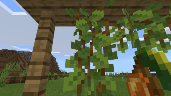 マイクラ グロウベリーはこんなこともできる 育て方に建築での便利な使い道 マインクラフト統合版