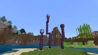 マイクラ 使い道は建築用の材料 コーラスフルーツの入手方法と育て方 マインクラフト統合版