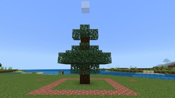 トウヒの木（制限ブロック）