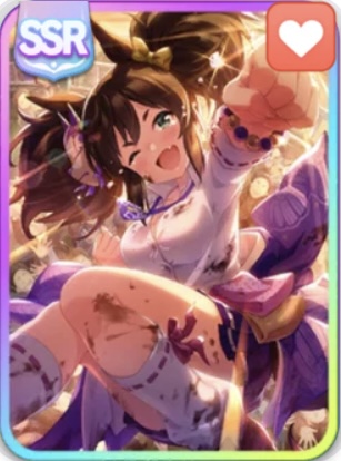 SSRスタイナリ