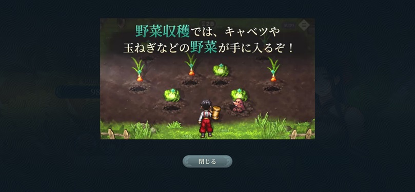 野菜収穫説明①（収穫物）