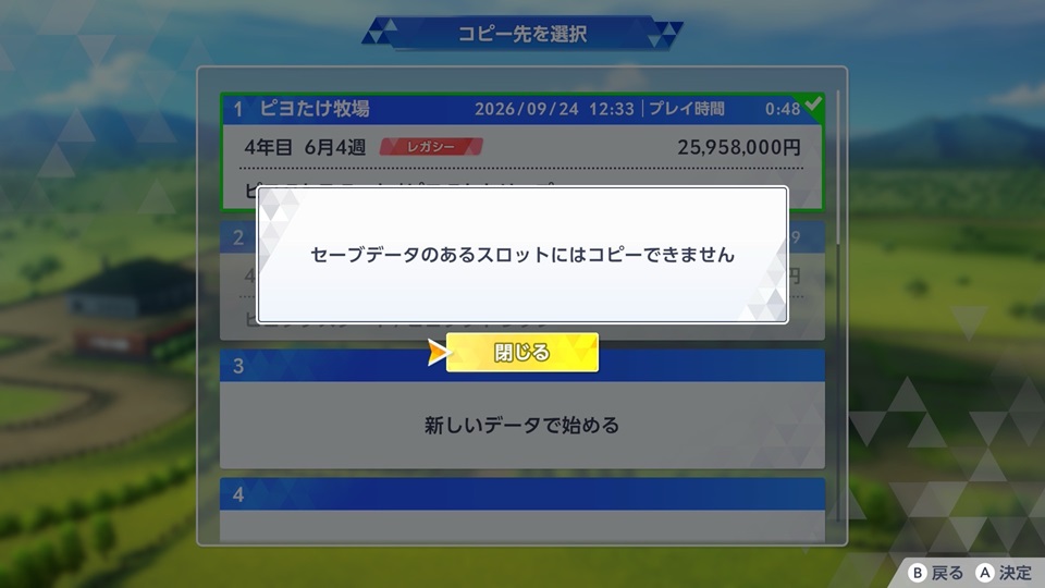 セーブデータ（コピーできない）