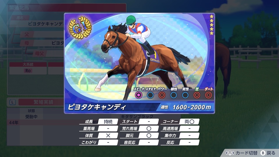 ピヨタケキャンディ（G1カード）