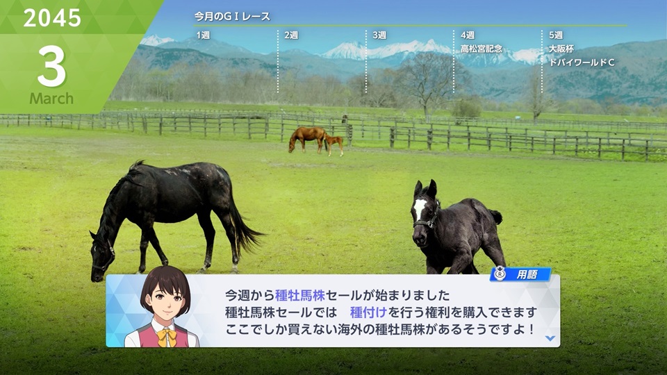 検疫所建築⑦3月海外種牡馬セール