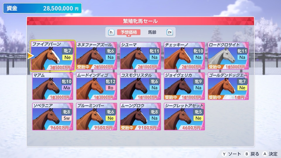 繁殖牝馬セール（2月開催）