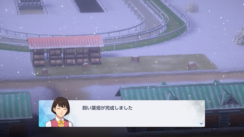 飼い葉畑（完成）