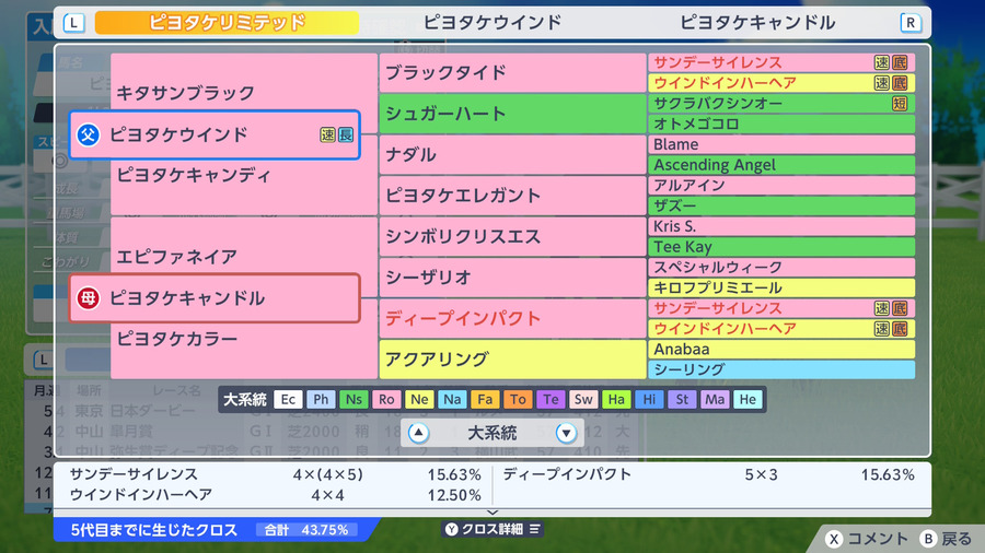11_ピヨタケリミテッド（血統）