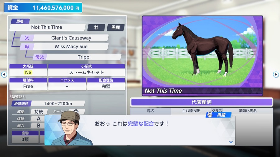 Not This Time（種牡馬情報・完璧な配合）