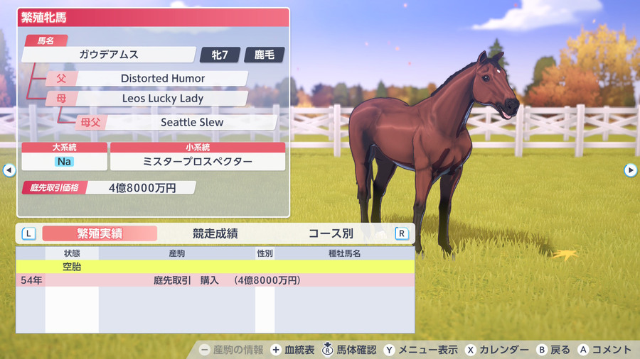 ガウデアムス（繁殖牝馬情報）