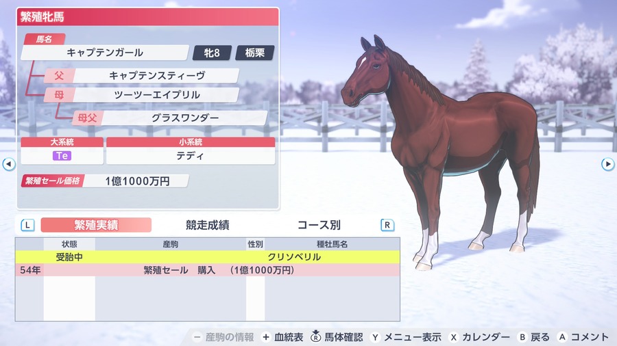 キャプテンガール（繁殖牝馬基本情報）