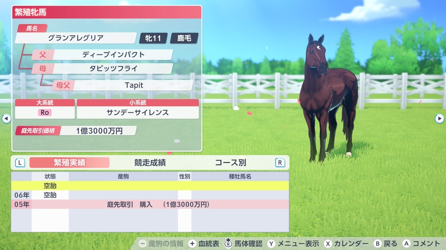 グランアレグリア（繁殖牝馬情報）