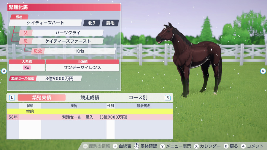 ケイティーズハート（繁殖牝馬情報）