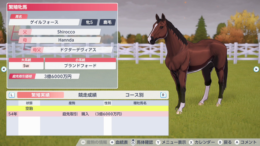 ゲイルフォース（繁殖牝馬情報）