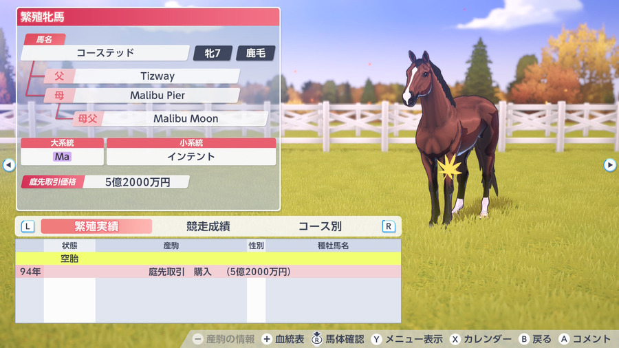 コーステッド（繁殖牝馬情報）