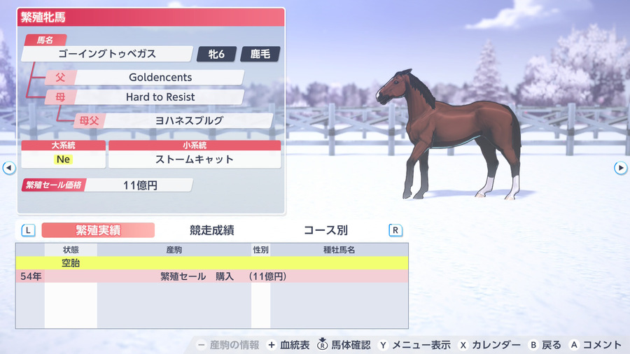 ゴーイングトゥベガス（繁殖牝馬情報）