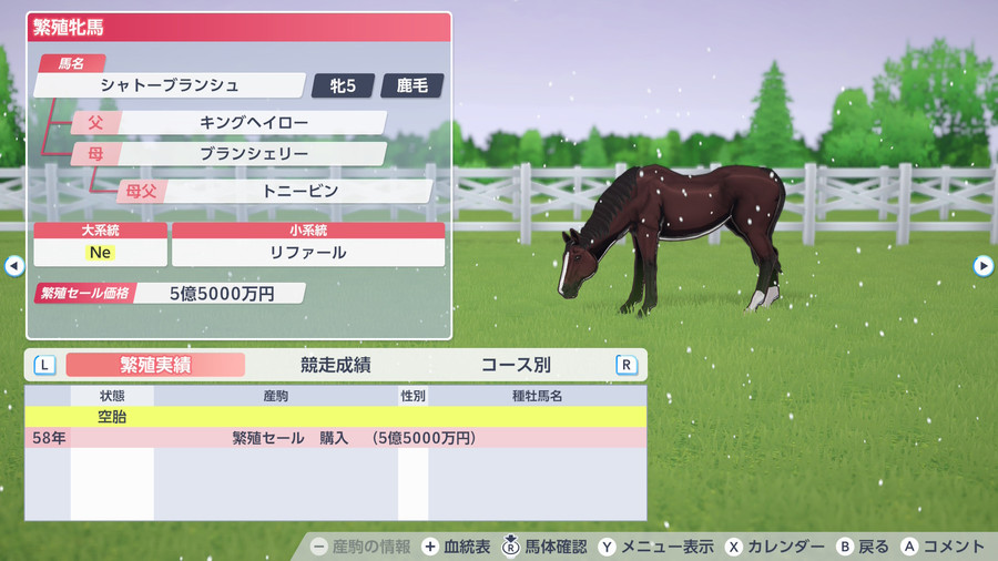 シャトーブランシュ（繁殖牝馬情報）