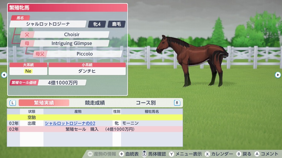 シャルロットロジーナ（繁殖牝馬情報）