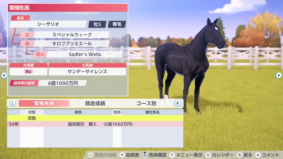 シーザリオ（繁殖牝馬情報）