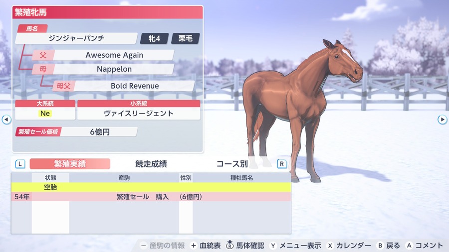 ジンジャーパンチ（繁殖牝馬情報）