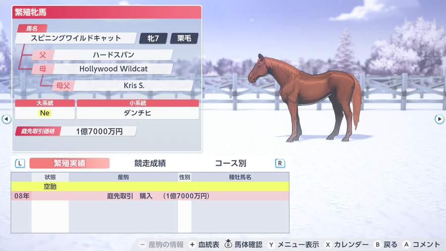 スピニングワイルドキャット（繁殖牝馬情報）