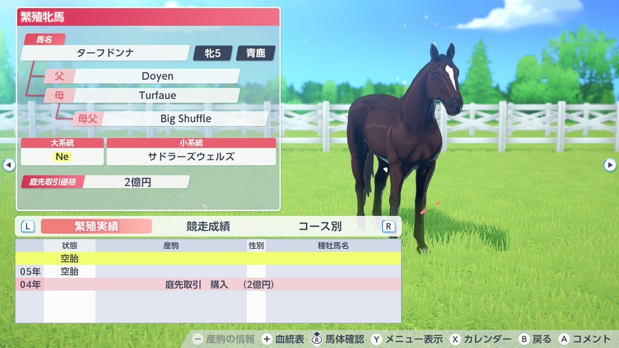 ターフドンナ（繁殖牝馬情報）