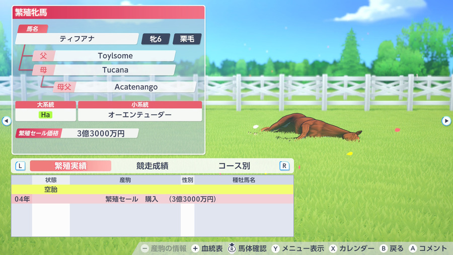 ティフアナ（繁殖牝馬情報）
