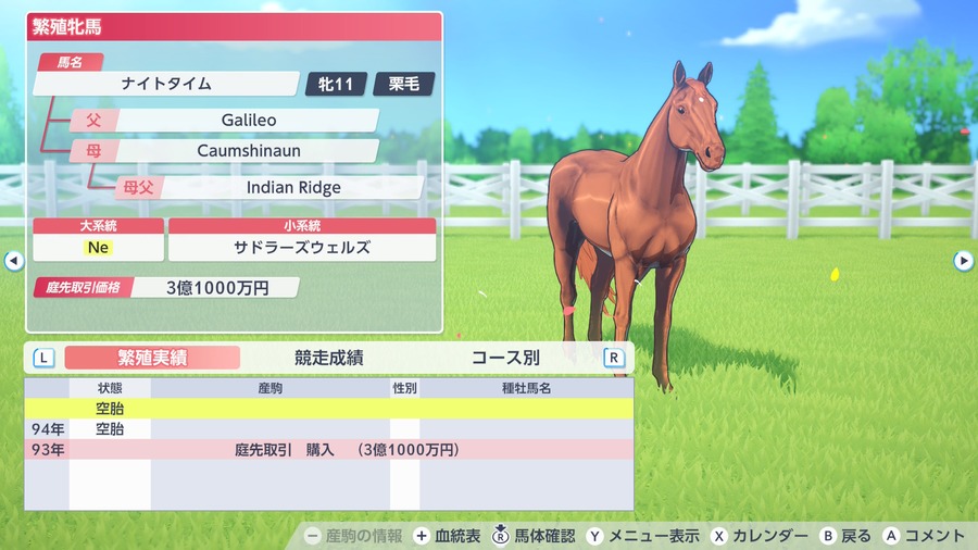 ナイトタイム（繁殖牝馬情報）