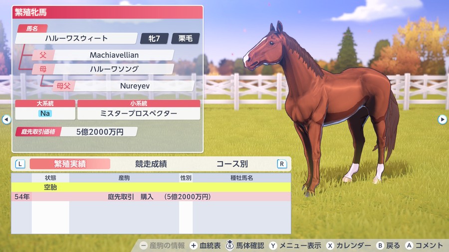 ハルーワスウィート（繁殖牝馬情報・掲載用）