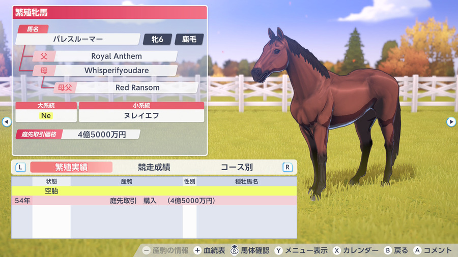 パレスルーマー（繁殖牝馬情報）