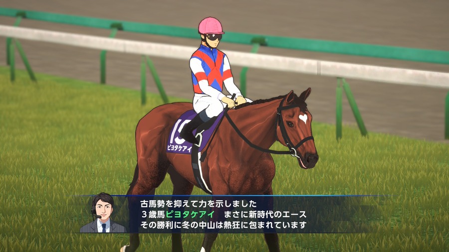 ピヨタケアイ（有馬記念ウイニングラン）