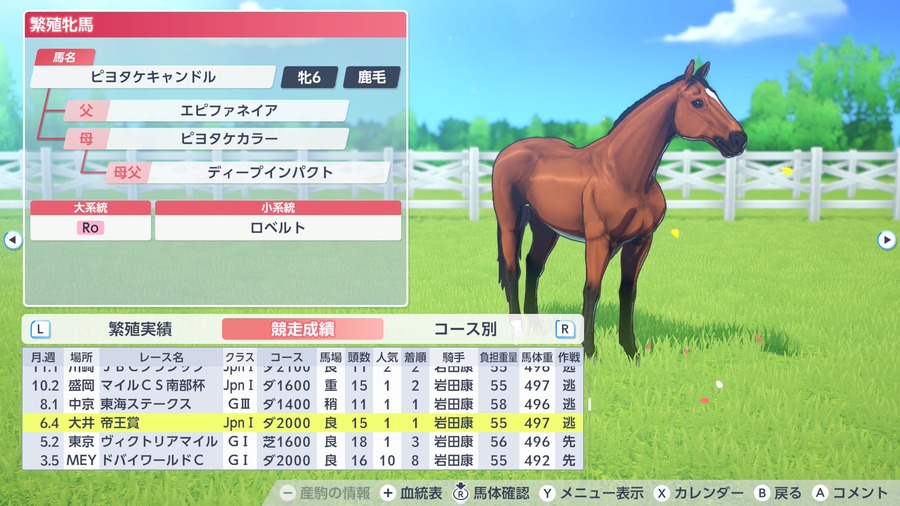 ピヨタケキャンドル（帝王賞勝利）