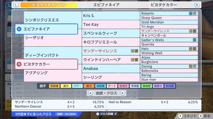 ピヨタケキャンドル（血統）