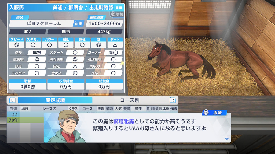 ピヨタケセーラム（繁殖牝馬能力が高そうコメント）