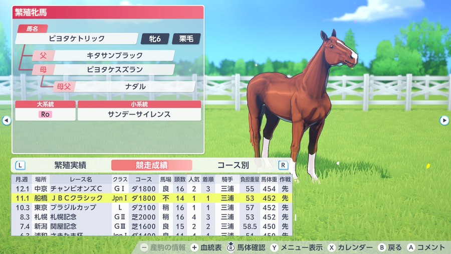 ピヨタケトリック（JBCクラシック勝利）