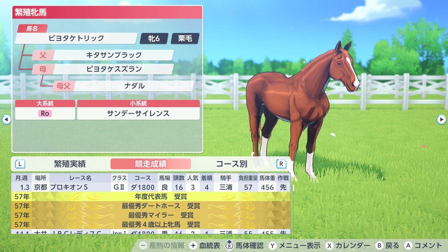 ピヨタケトリック（年度代表馬・受賞歴）