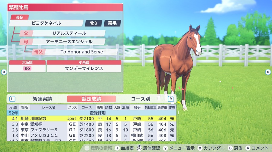 ピヨタケネイル（川崎記念勝利）