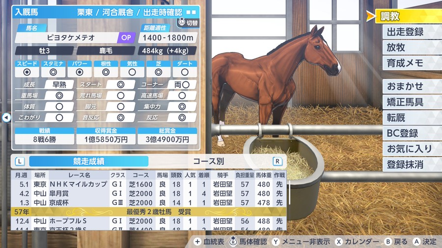 ピヨタケメテオ（NHKマイルC勝利）