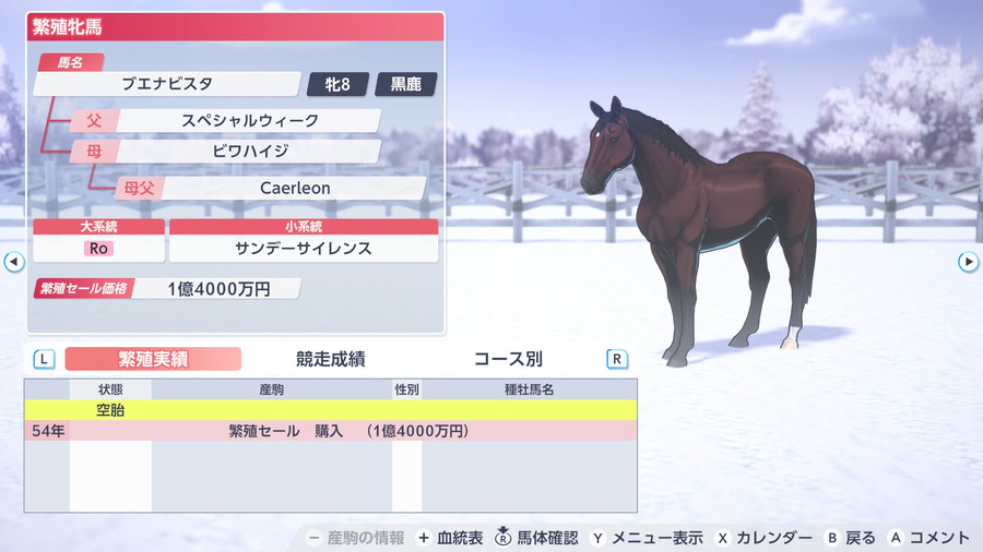 ブエナビスタ（繁殖牝馬情報）