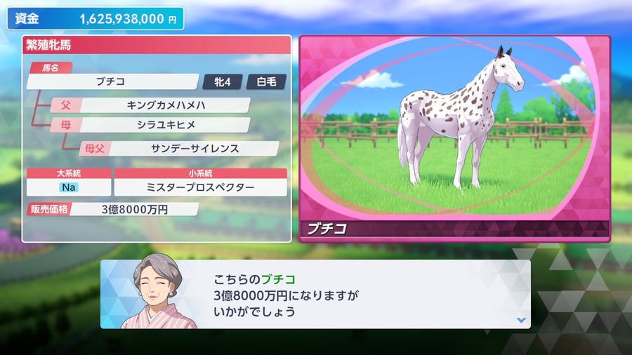 ブチコ（交渉）