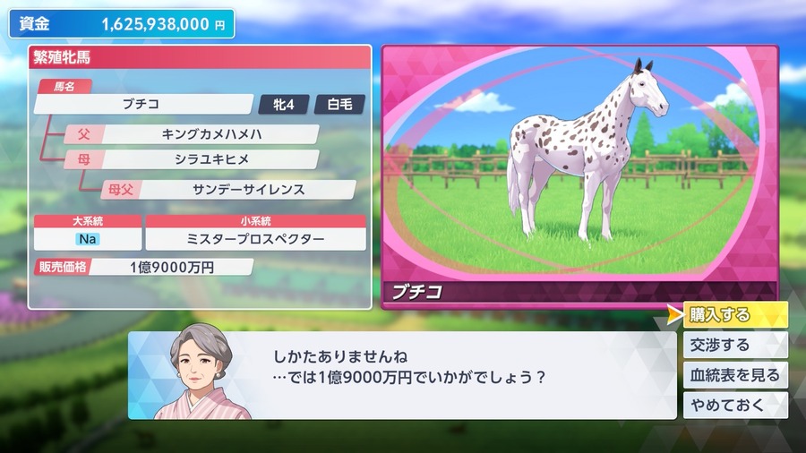 ブチコ（購入）