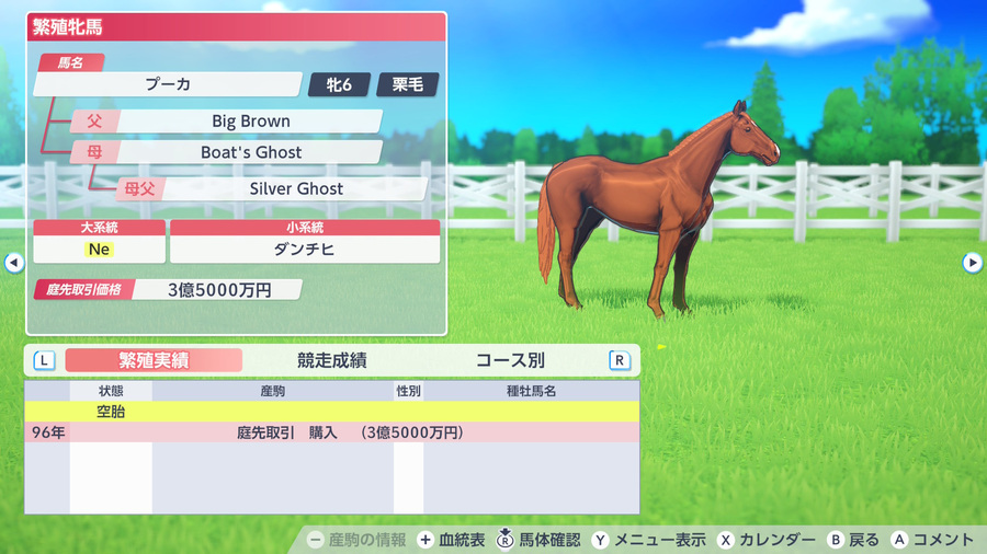 プーカ（繁殖牝馬情報）