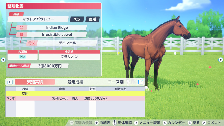 マッドアバウトユー（繁殖牝馬情報）