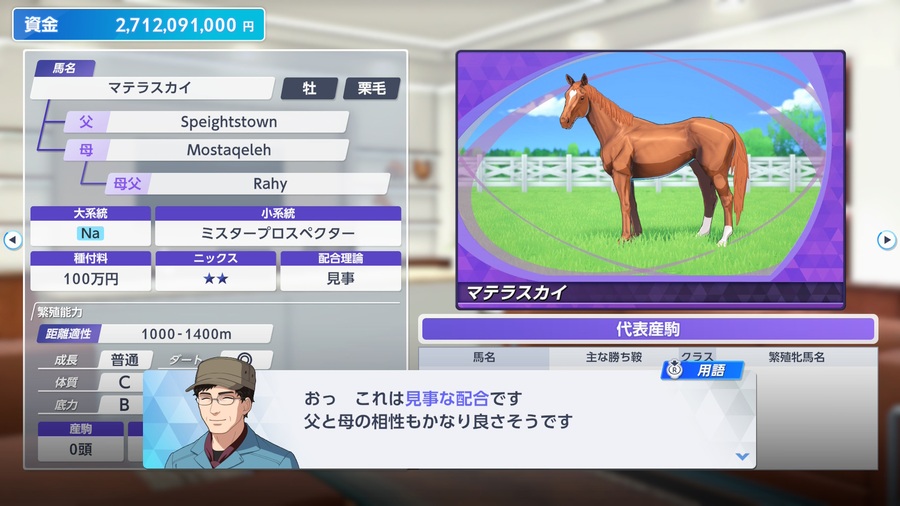マテラスカイ（種牡馬選択・見事な配合）