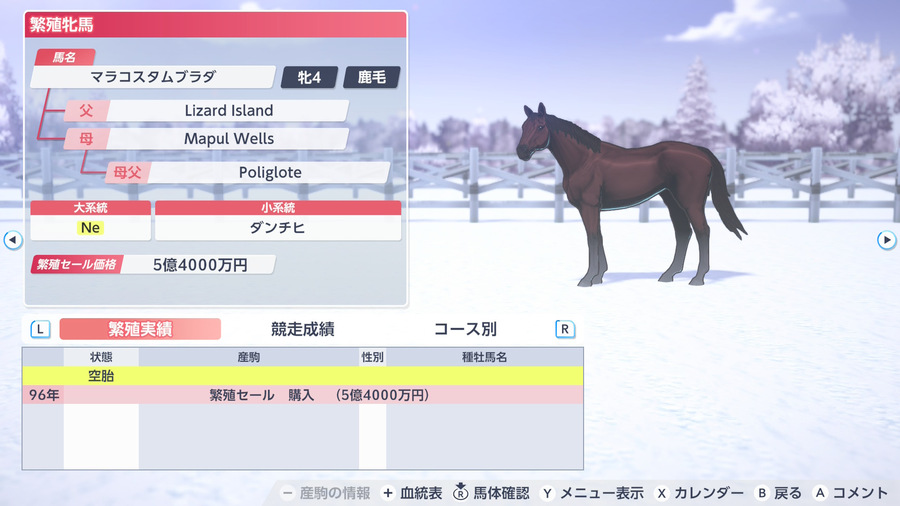 マラコスタムブラダ（繁殖牝馬情報）