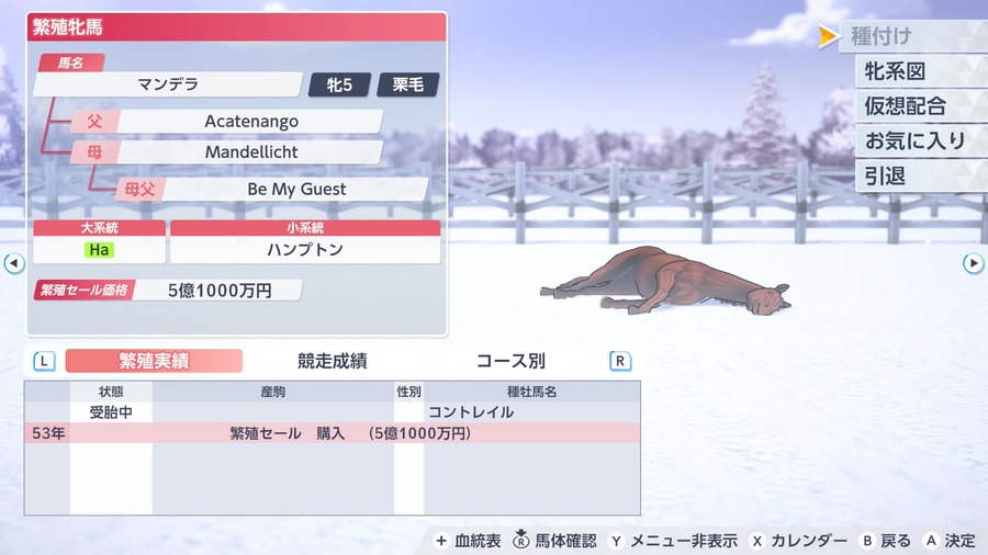 マンデラ（繁殖牝馬情報）