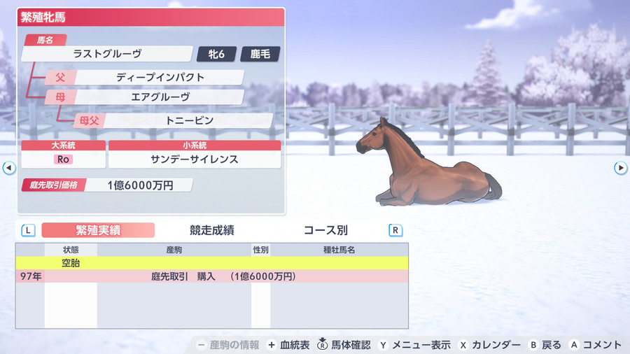 ラストグルーヴ（繁殖牝馬情報）