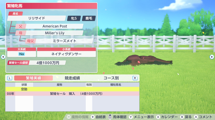 リリサイド（繁殖牝馬情報）